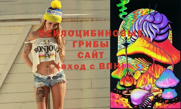 стаф Волосово