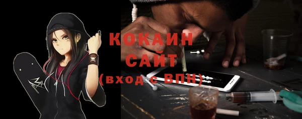 сатива Волоколамск
