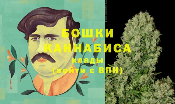 сатива Волоколамск
