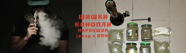 сатива Волоколамск