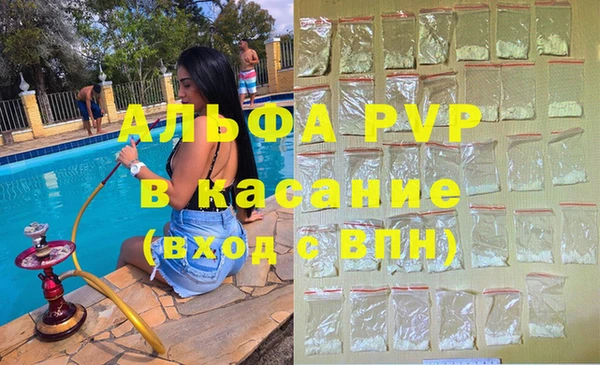 сатива Волоколамск
