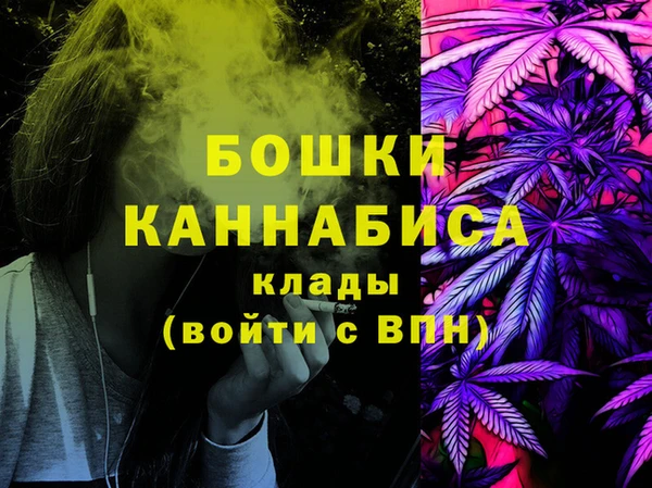 сатива Волоколамск