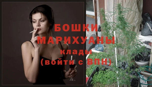 сатива Волоколамск